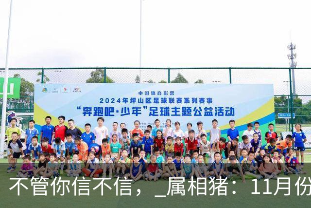 不管你信不信， 属相猪：11月份，有事即将发生，早做准备