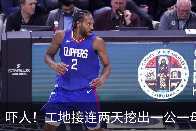 吓人！工地接连两天挖出一公一母两条巨蟒！“蛇身有人的小腿那么粗，目测有2米多长”，经确认均为缅甸蟒