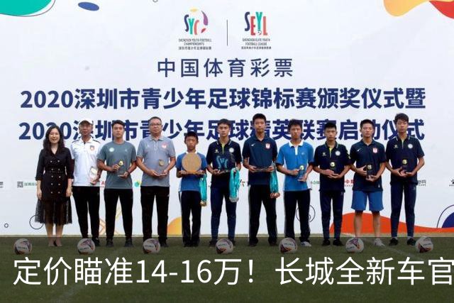 定价瞄准14-16万！长城全新车官宣，年内就能买到