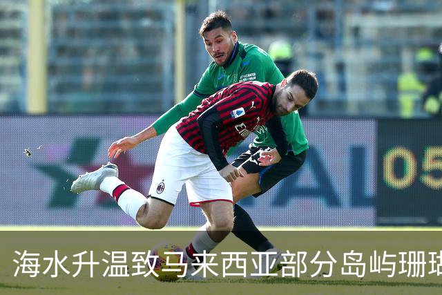 海水升温致马来西亚部分岛屿珊瑚白化及死亡加剧