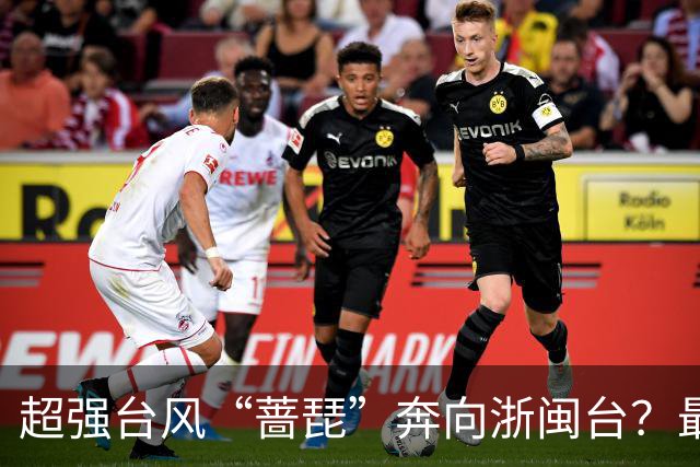 超强台风“蔷琵”奔向浙闽台？最新路径公布！温州天气大转折，降温、降雨、大风…...
